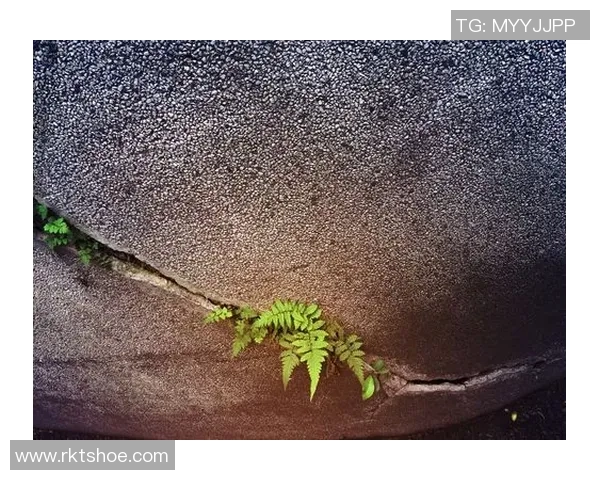 在夹缝中求生的智慧三明治战术助你逆境翻盘 在夹缝中求生的智慧三明治战术助你逆境翻盘